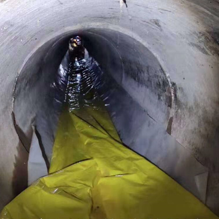 竞秀管道光固化修复